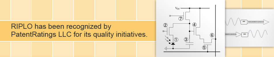 RIPLO : Robinson Intellectual Property Law Office, P.C.