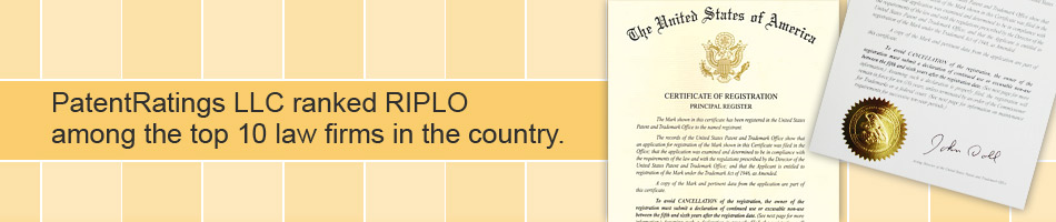 Robinson Intellectual Property Law Office, P.C. | Patent Attorneys | Patent Prosecution | Fairfax, Va. | Washington, D.C. | Law Firm | RIPLO